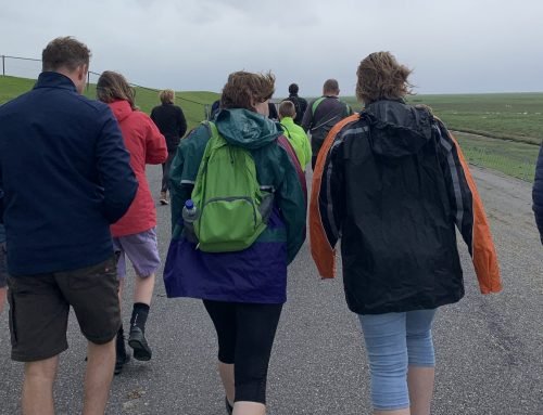 Wandelen voor meer veerkracht en minder stress