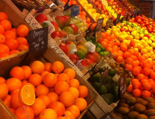 Voeding voor het brein